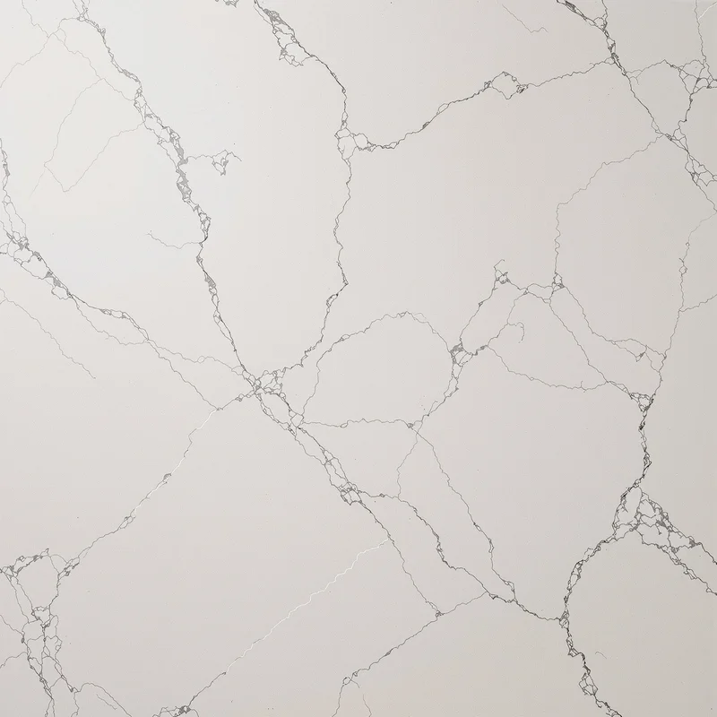 Premium polished granite background