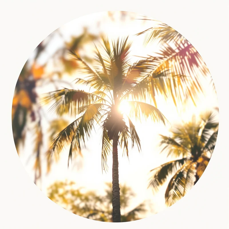 Summer profile image optimized for visibility and recognition