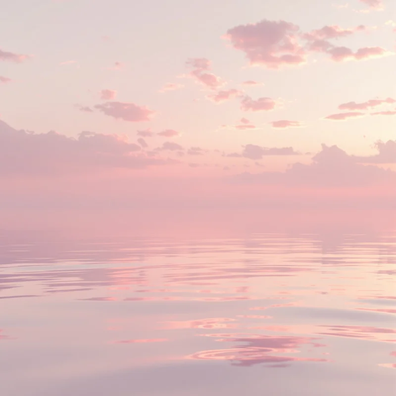Calm light pink sunrise background
