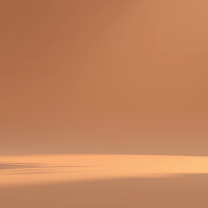 Deep calm tree background
