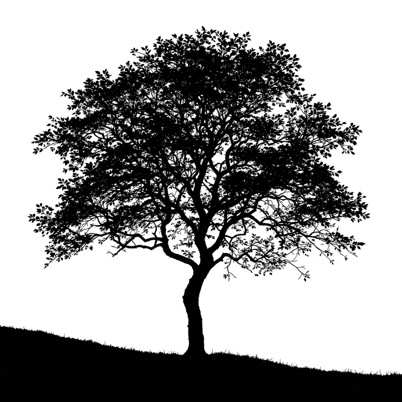Luxury silhouette tree background