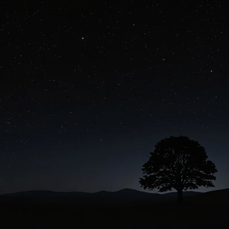 Pure distant tree background