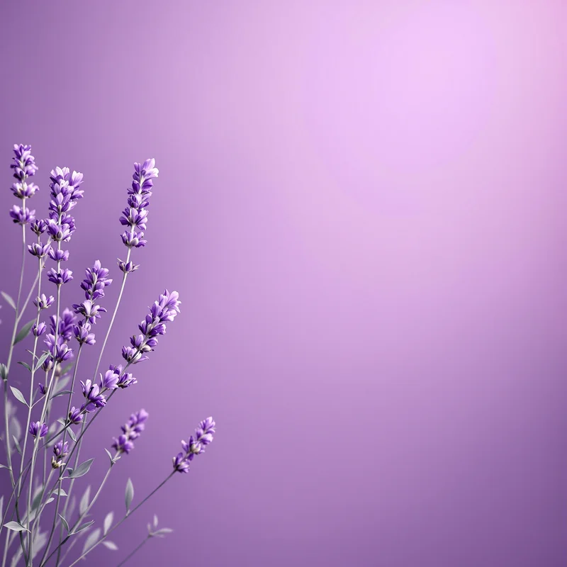 Warm lavender background