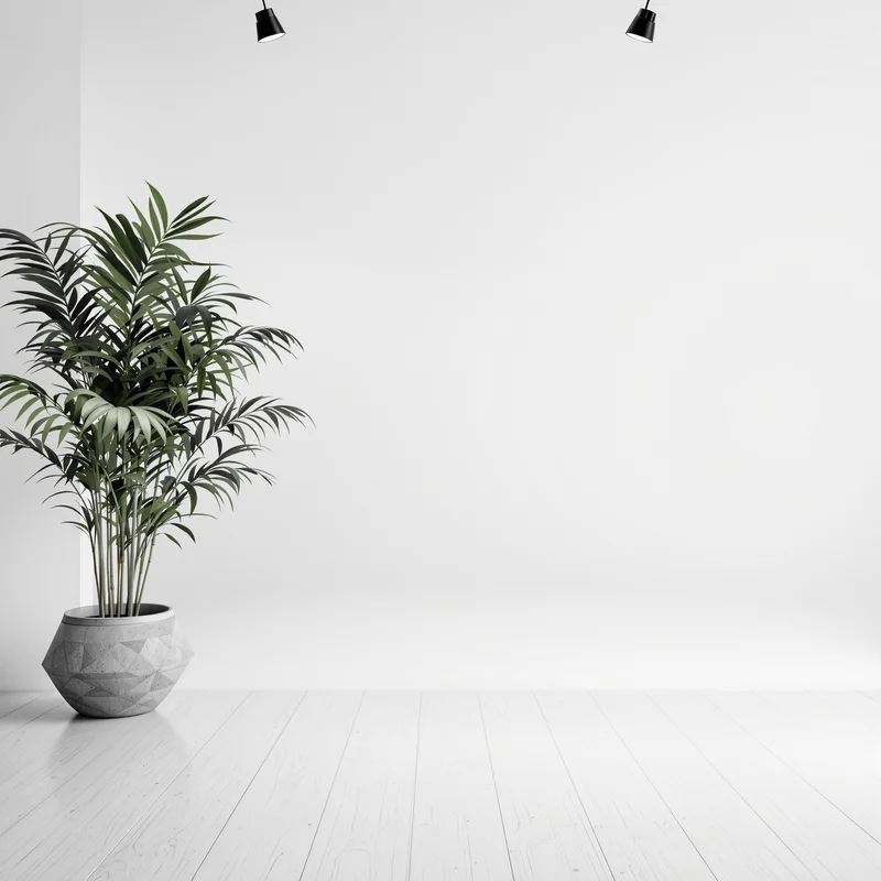 Pure white virtual background
