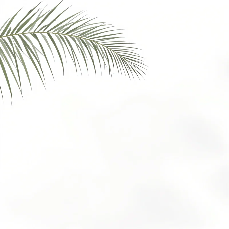 dry finish white background