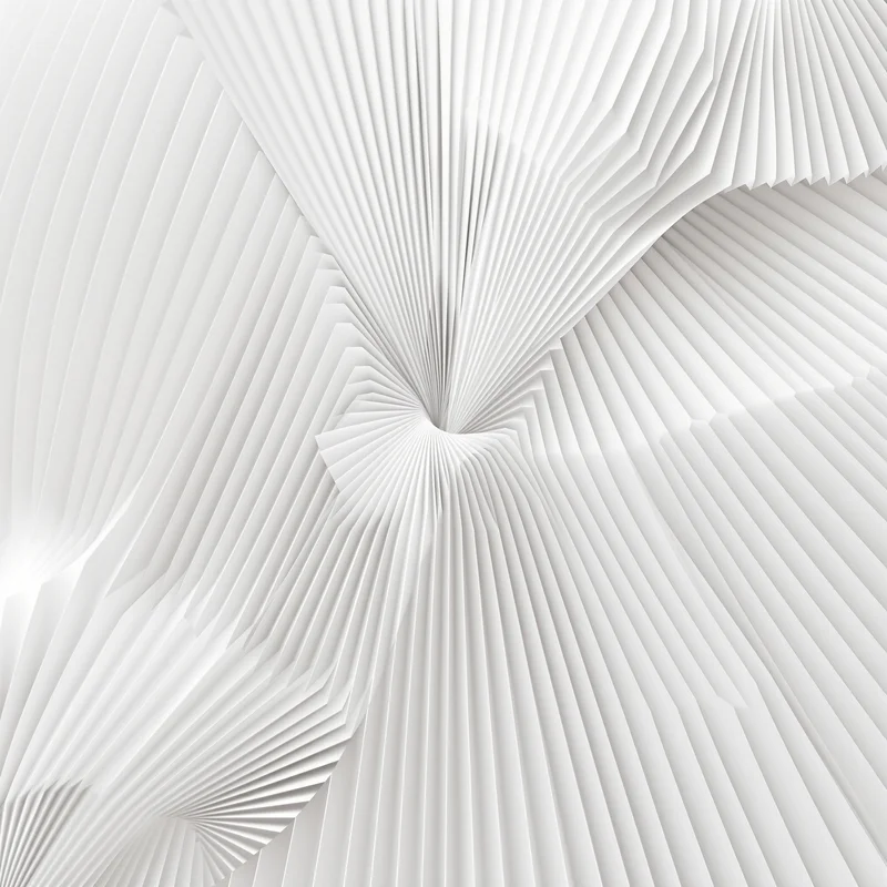 Paper Fan White Background