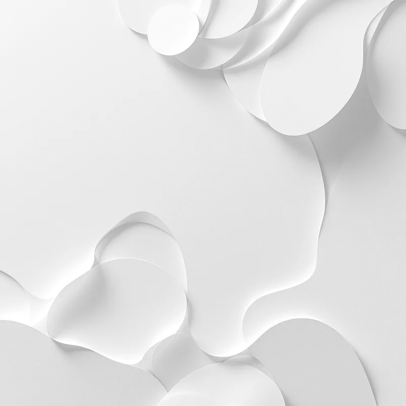 Paper Relief White Background