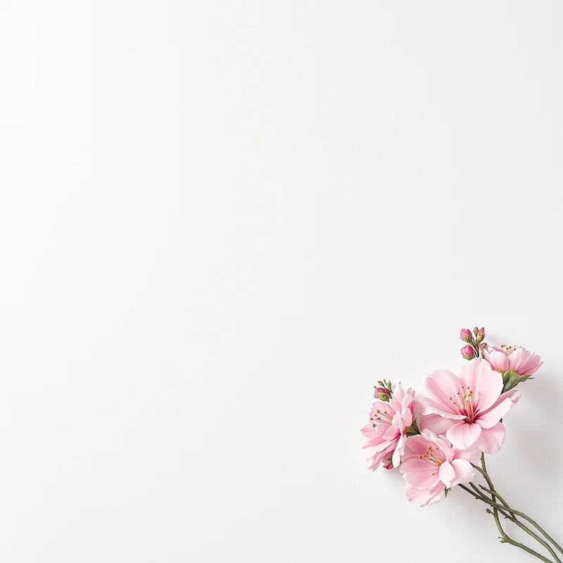 soft white background