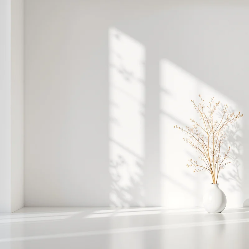 Sunlit Wall Shadow White Background